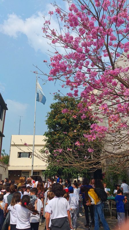 patio+bandera+arboles